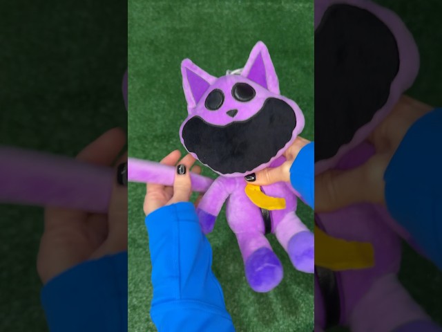 Catnap Plushies! Name all the friends!