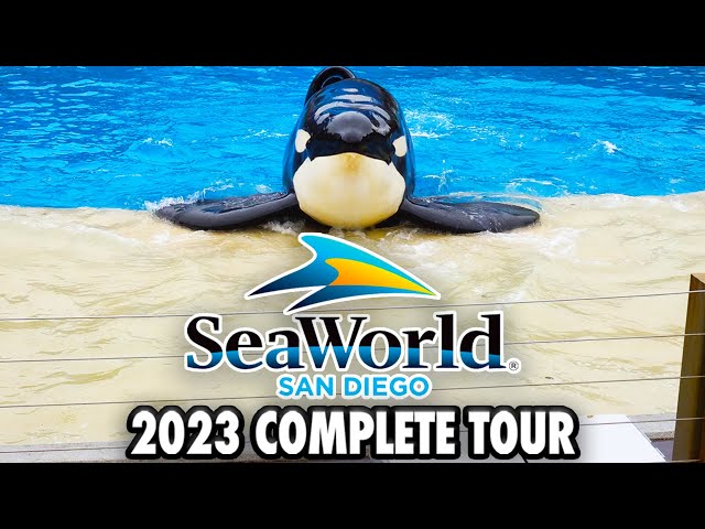 SeaWorld San Diego Tour 2023 - Rides, Shows, Animal Exhibits and Walkthrough [4K POV]