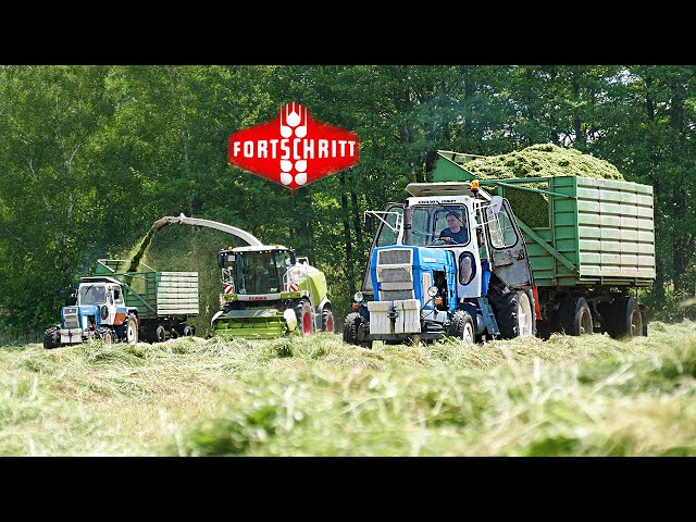 ALT und JUNG vereint! | 3x FORTSCHRITT ZT | CLAAS  ▶ Agriculture Germanyy