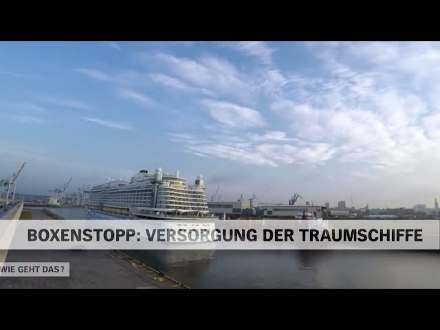 Versorgung und Abfertigung der Traumschiffe-Kreuzfahrtschiffe im Hafen Hamburg | NDR Doku