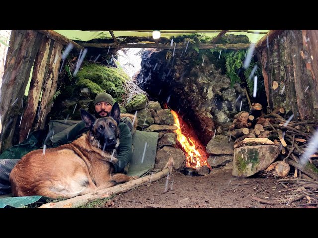 3 Days Winter Camp in the Wilderness with My Dog - Bushcraft Shelter Camping, Nature Documentary
