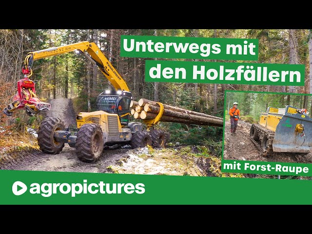 Holzfäller Doku mit GJ-Forst | Highlander Harvester und Alther Forstraupe bei der Holzernte