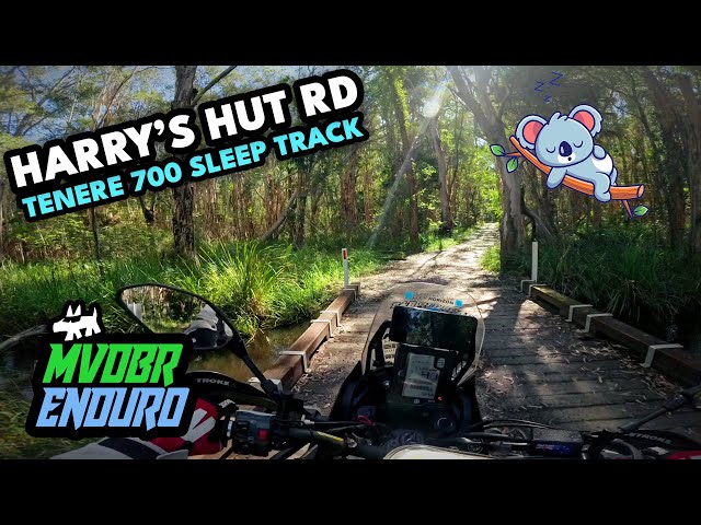 Harry's Hut Road: Tenere 700 Sleep Track - MVDBR Enduro #341