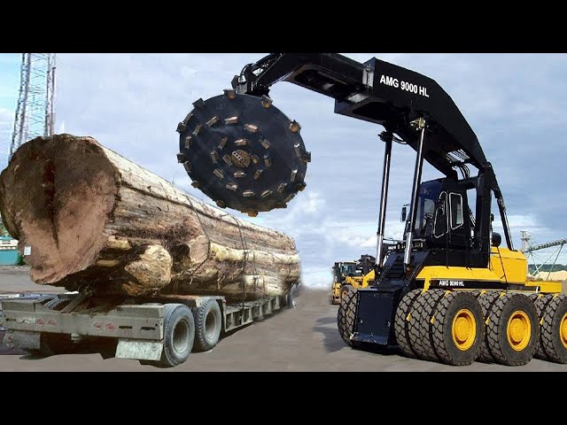 Incredible Dangerous Excavator Cutting Tree Machines Working - Fastest Chainsaw Felling Tree Machine