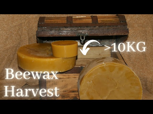 Beekeeper Gold - How i clean my Beewax