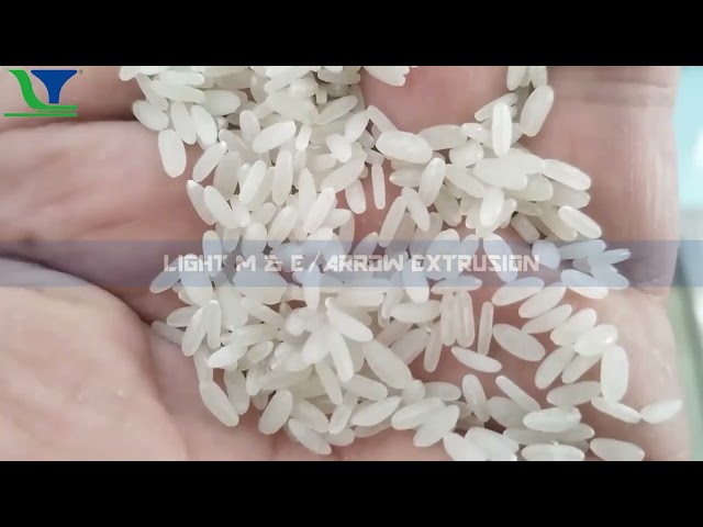 Fortified Rice Making Machine in Indonesia