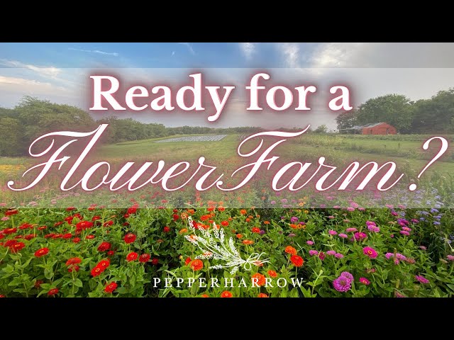 What We Wish We Knew Before We Started A Flower Farm: Must-Know Tips | PepperHarrowFarm.com