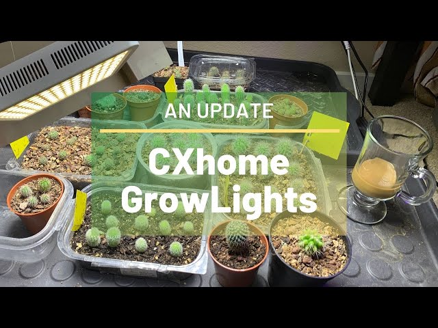 CXhome Growlight Update (Succulents and Cactus Seedlings)