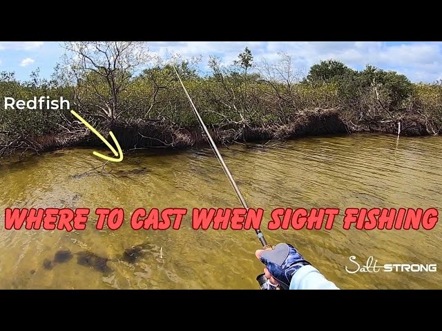 Where Should You Cast When Sight Fishing While Inshore?