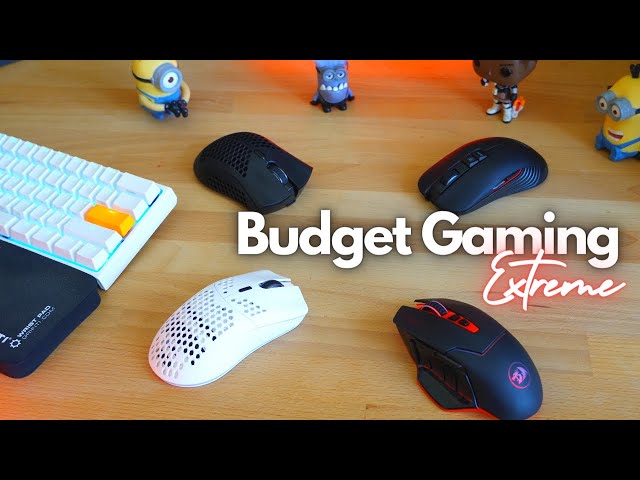 Extreme Budget Gaming Mouse under $25. PROPER WIRELESS Gaming Mouse under Rs.1800 - Bang for buck