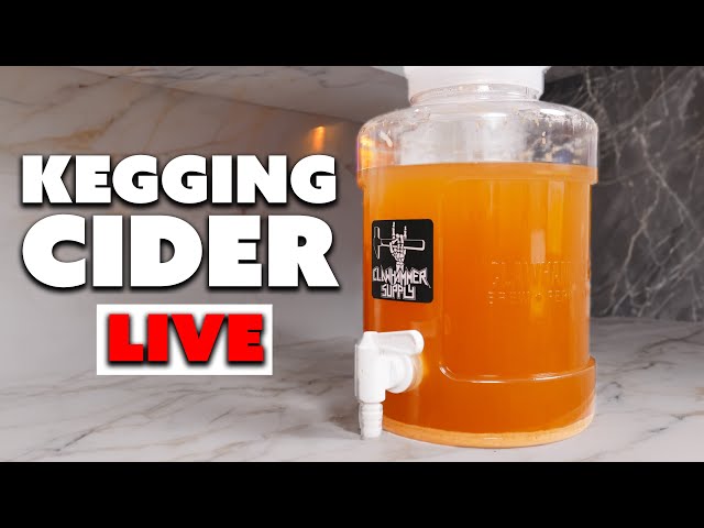 Kegging and Quick Carbonating Hard Cider - LIVE!!!