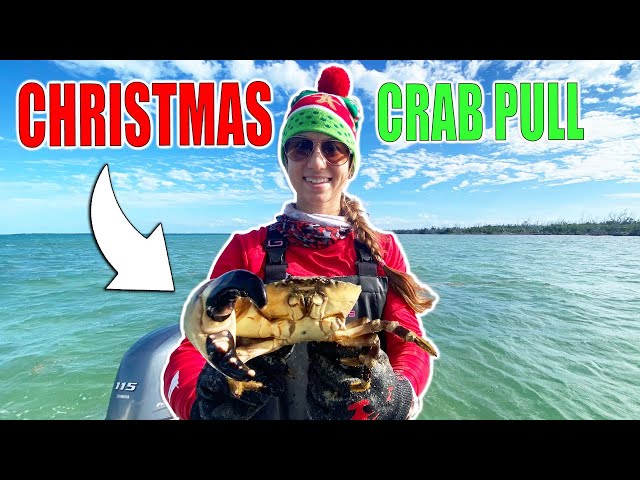 OUR *WILD* STONE CRAB PULL | Christmas Crabbing 2021