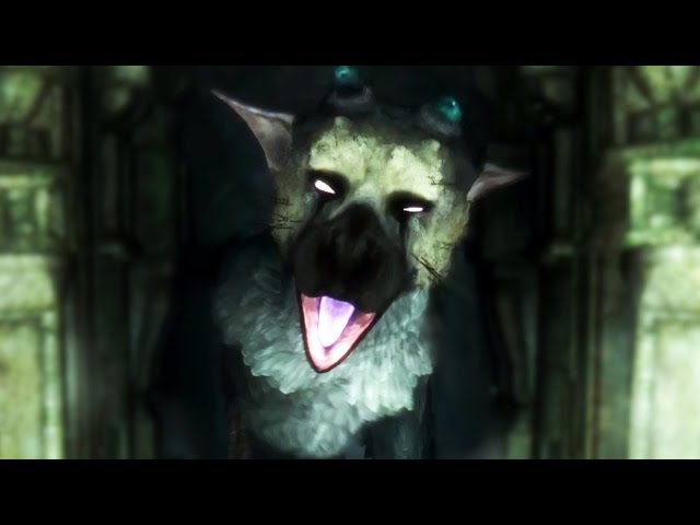 CUTE BUT POWERFUL | The Last Guardian - Part 2