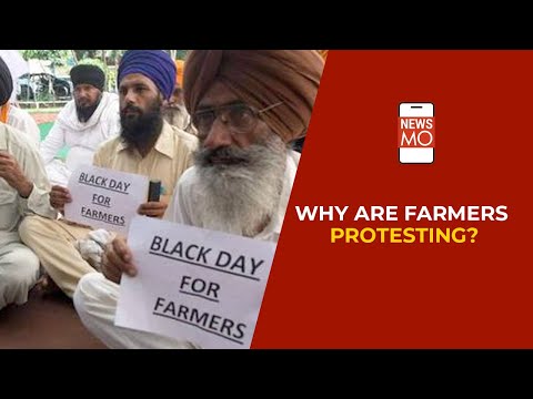 New Farm Bills 2020: Why Are Farmers Protesting In India? | NewsMo