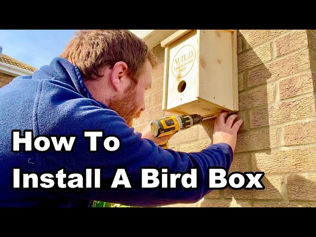How & Where To Install A Bird Box - The RIGHT Way