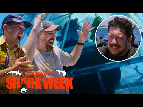 Impractical Jokers Dump Chum on Sal While He's in a Shark Cage! | Shark Week