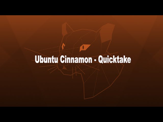 Ubuntu Cinnamon 20.04 - Quick Take