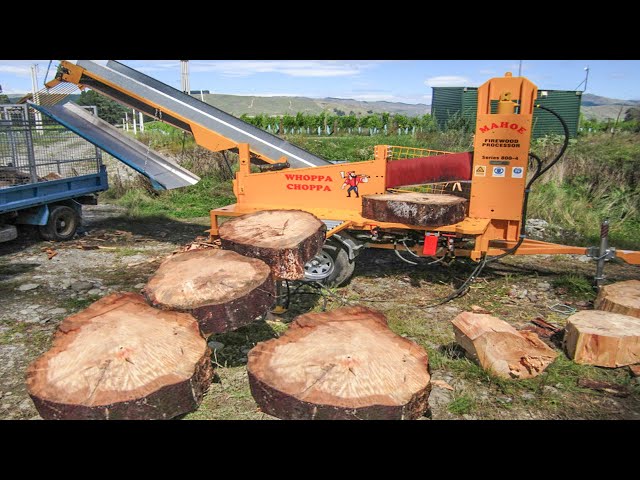 Incredible Dangerous Big Tree Cutting Skill Processing Wood Factory, Fastest Stump Grinding Machine