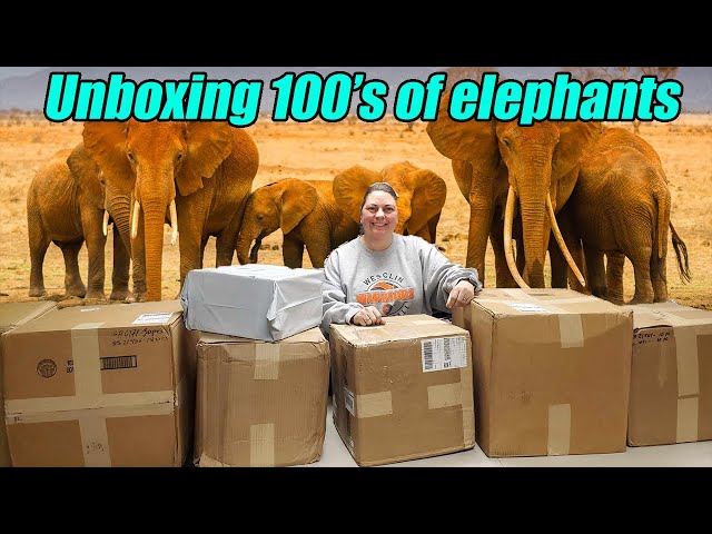 Unboxing 100's of Elephants Check out all the interesting items we got!