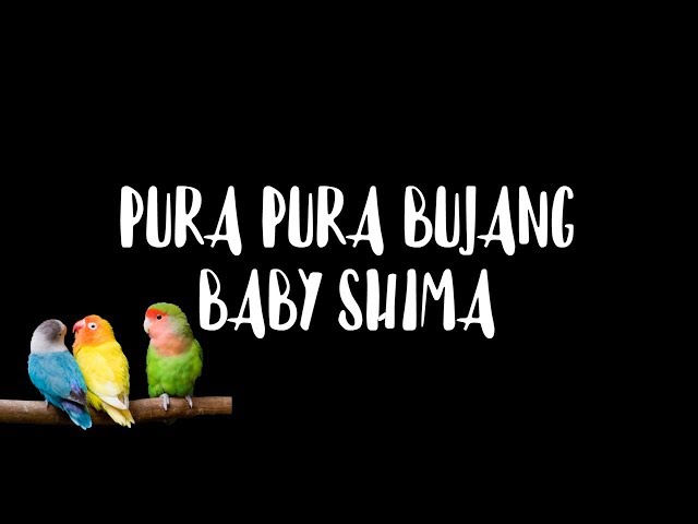 Pura-Pura Bujang - BABY SHIMA | Lirik Video