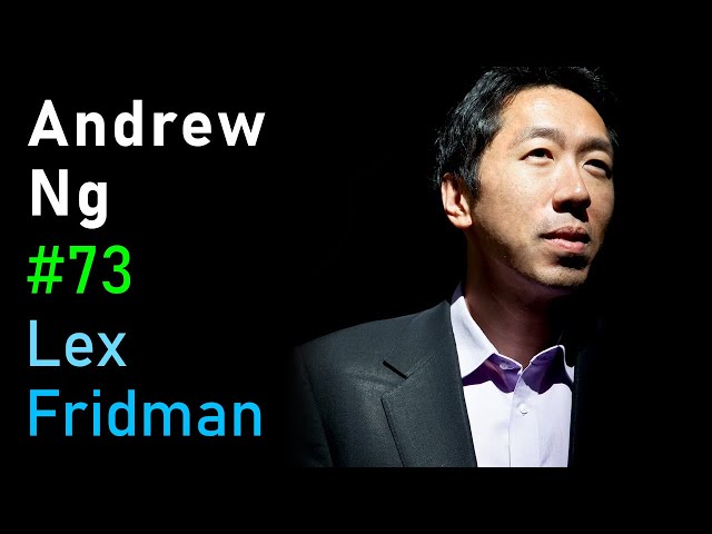 Andrew Ng: Deep Learning, Education, and Real-World AI | Lex Fridman Podcast #73