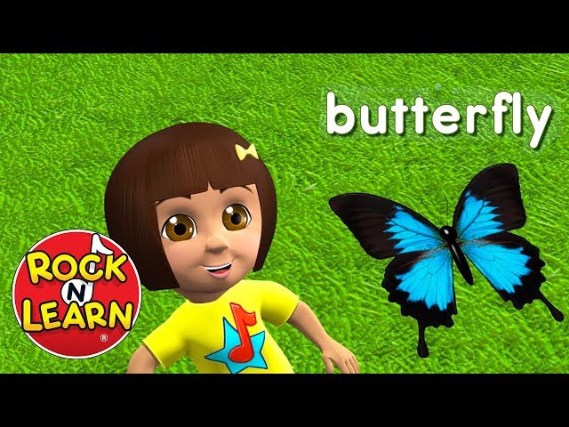 Learn English for Kids - Food, Activities & Animals - Rock 'N Learn