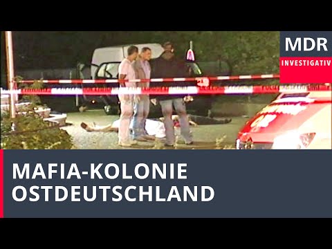 Mafia-Kolonie Ostdeutschland | Doku