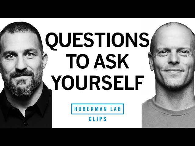 Important Questions to Ask Yourself | Tim Ferriss & Dr. Andrew Huberman