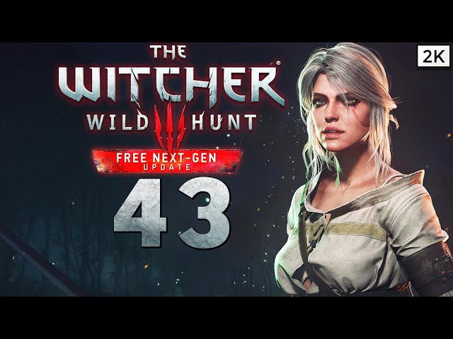 Lets Play The Witcher 3: Wild Hunt Remastered (Deutsch) [2K] #43 - HS Junior