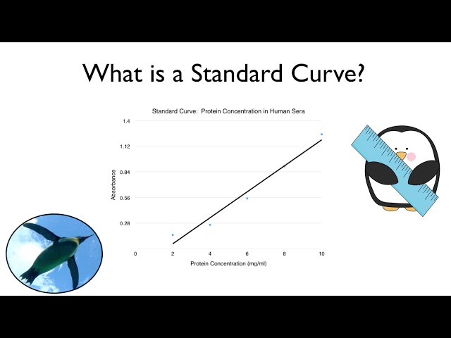 What is a Standard Curve?