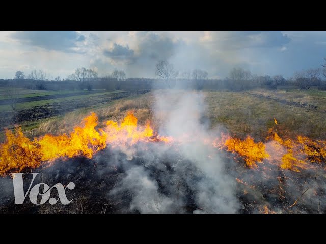 How decades of stopping forest fires made them worse