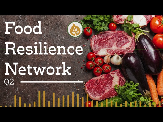 The end of the veg growing season :: Food Resilience Network :: Ep 02