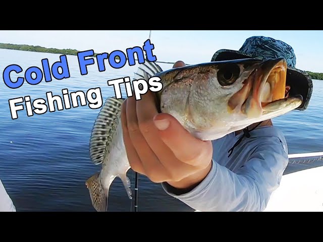 Pre & Post Cold Front Fishing Tips: Catching 7 Species In 2 Days