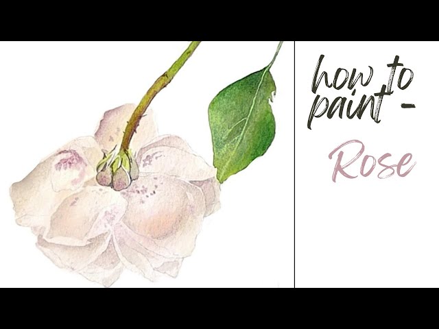 Watercolor for Beginners | Subtle Rose