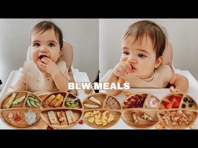 Easy Baby Led Weaning Meals | My Baby's Favorite Foods For Breakfast, Lunch & Dinner