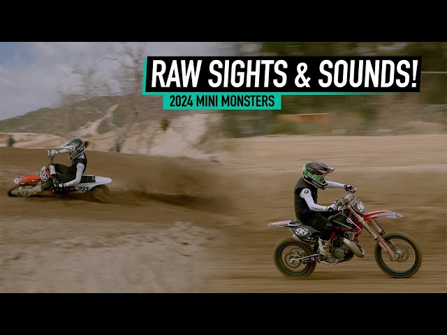RAW Action from the 2024 Mini Monsters! | Sights & Sounds