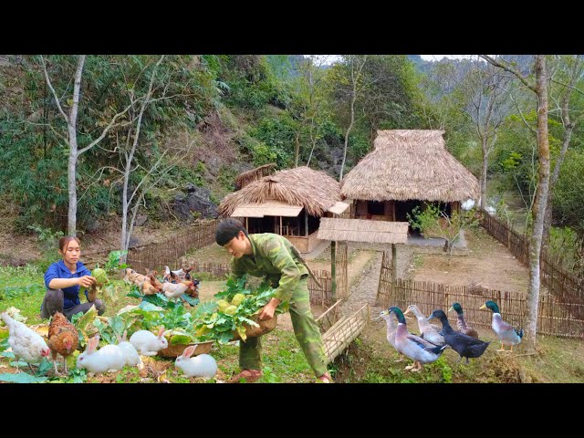 Full video : 60 days with his wife to grow vegetables and raise chickens to build a new life