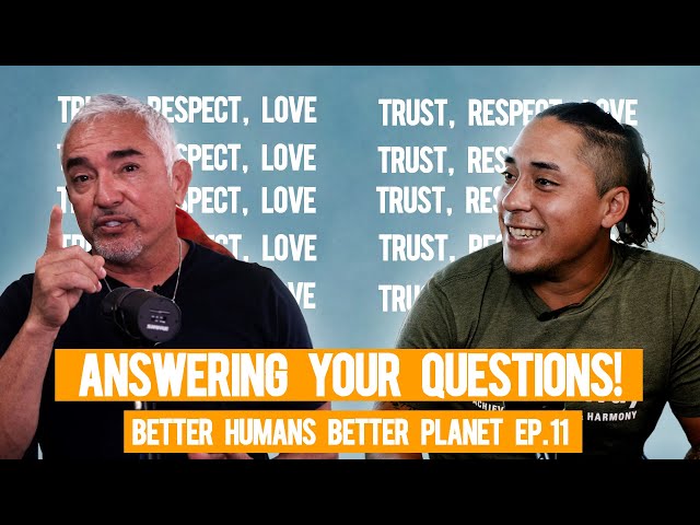Cesar Millan Answers Your Dog Training Questions! (featuring. Andre Millan) | BHBP EP. 11