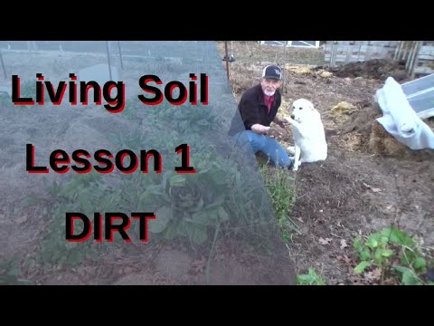 Living Soil, No Till Deep Mulch Gardening