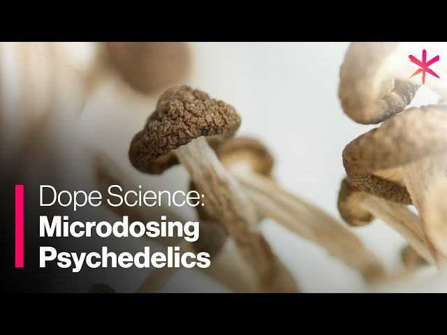 Microdosing Psychedelics