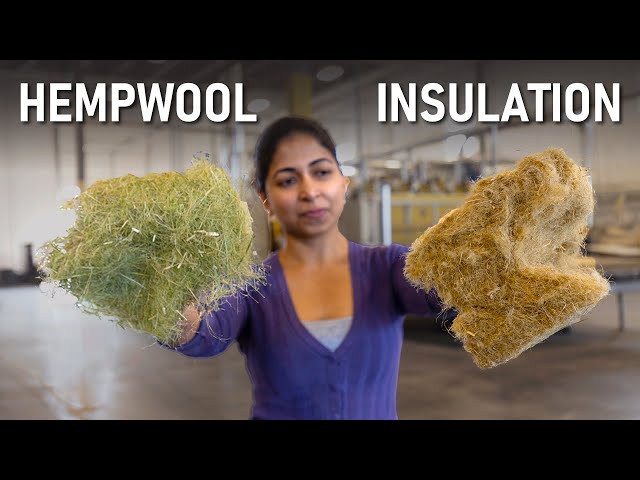 Is HempWool the Holy Grail of Sustainable Insulation?