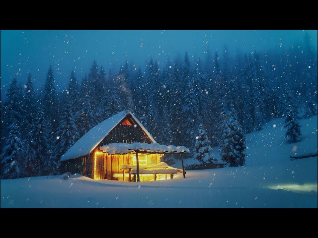 The Sound of Snowfall in Forest, 11hours - Christmas Relaxing Ambiences ASM, Nature Sounds
