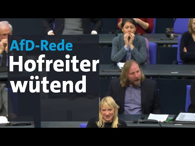 Anton Hofreiter flippt bei AfD-Rede von Curio im Bundestag aus | BR24