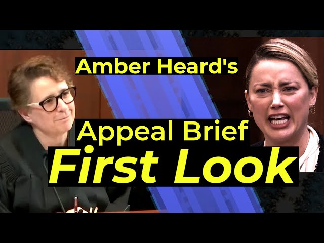 Amber's Brief is crammed with too many complaints and omits too many details - Attorney analysis