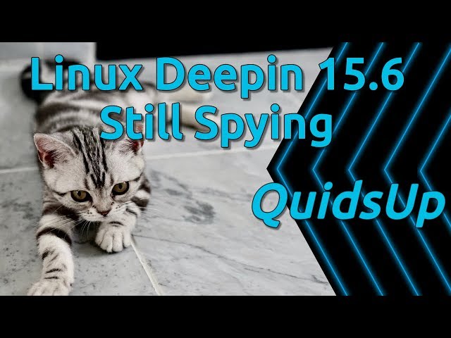 Linux Deepin 15.6 is still Collecting Data