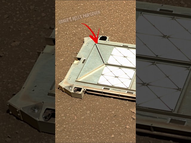 Perseverance Rover's protecting system for Mars Sample System Integrity