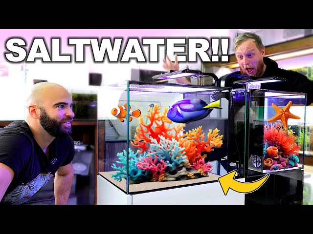 First EVER Saltwater Tanks in the Studio!!