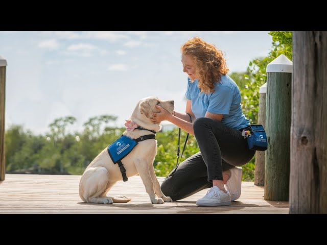 Raising Hope | Become a Puppy Raiser for Southeastern Guide Dogs