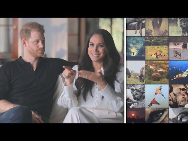 Prince Harry and Meghan Markle REVEAL They Met on Instagram
