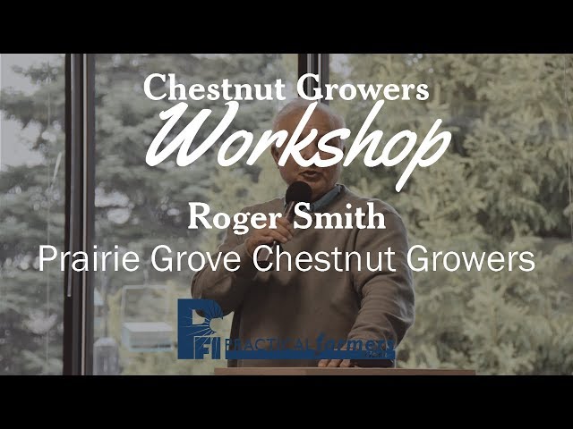 Marketing Chestnuts - Roger Smith